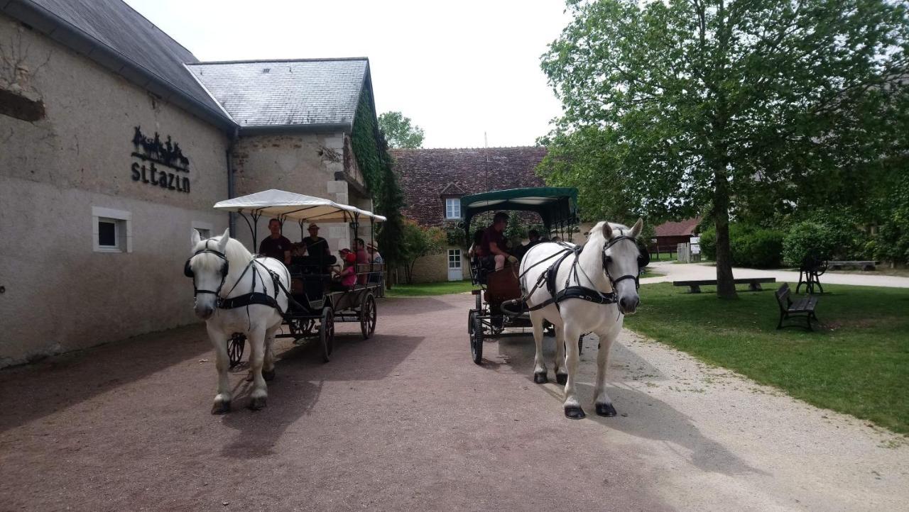 Le Village De Cottages - Le Pole Du Cheval Et De L'Ane Lignieres  Екстер'єр фото