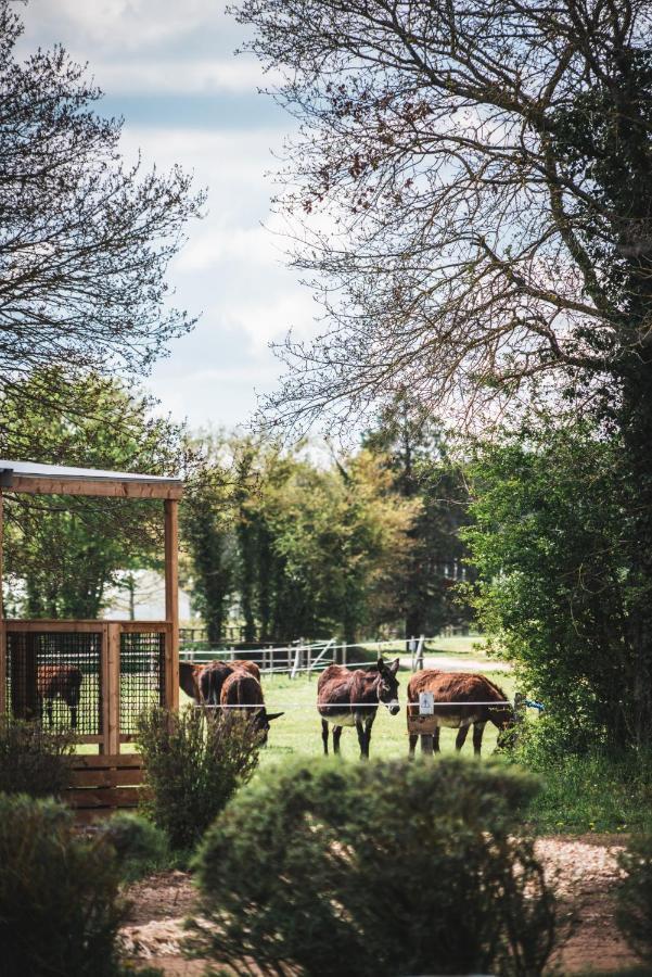 Le Village De Cottages - Le Pole Du Cheval Et De L'Ane Lignieres  Екстер'єр фото